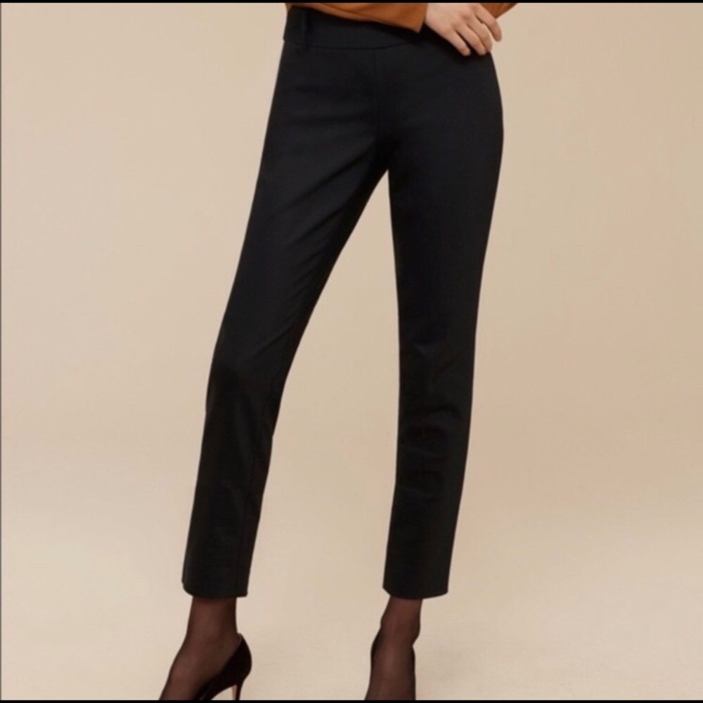 ARITZIA Babaton Pants
